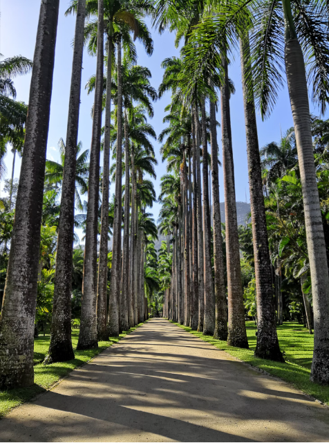 Jardim Botânico, Rio de Janeiro